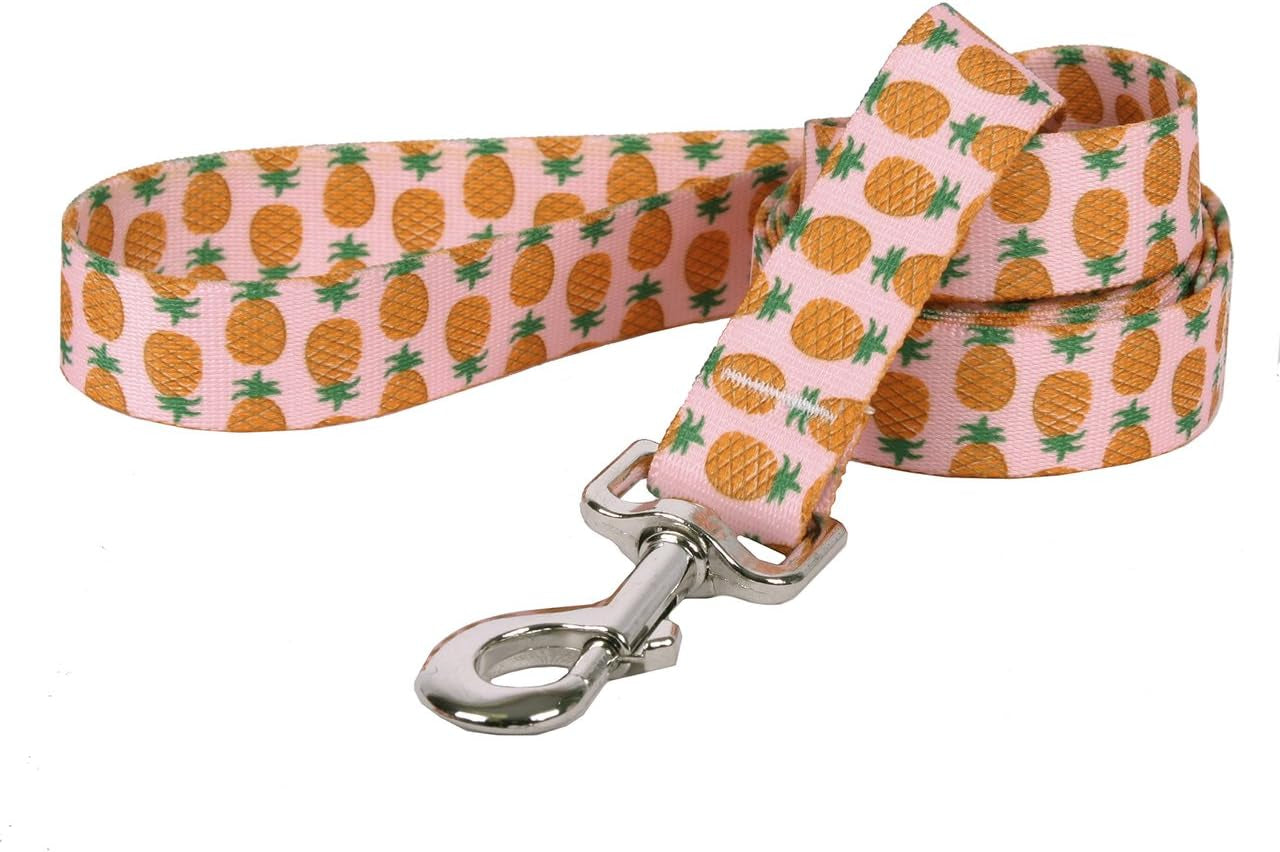 , Pineapples on Pink Dog Leash, Extra Small 3/8" X 60" (5 Ft.)